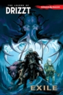 Image for Dungeons &amp; Dragons: The Legend of Drizzt Volume 2 - Exile