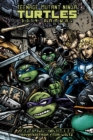 Image for Teenage Mutant Ninja Turtles 2014 Annual Deluxe Edition