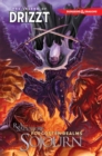 Image for Dungeons &amp; Dragons: The Legend of Drizzt Volume 3 - Sojourn