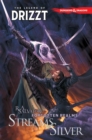 Image for Dungeons &amp; Dragons: The Legend of Drizzt Volume 5 - Streams of Silver