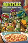 Image for Teenage Mutant Ninja Turtles  : new animated adventuresVOlume 2