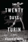 Image for The Twenty Days of Turin : A Novel