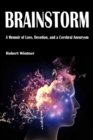 Image for Brainstorm  : a memoir of love, devotion, and a cerebral aneurysm
