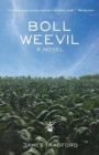 Image for Boll Weevil