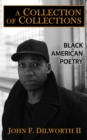 Image for A collection of collections  : Black American poetry