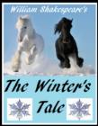Image for Winter&#39;s Tale