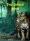 Image for Jungle Book Best of Classic Novels