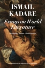 Image for Essays on world literature  : Shakespeare, Aeschylus, Dante