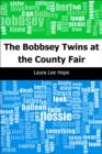 Image for Bobbsey Twins at the County Fair