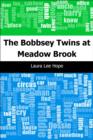 Image for Bobbsey Twins at Meadow Brook