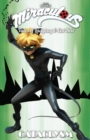 Image for Miraculous: Tales of Ladybug and Cat Noir: Cataclysm