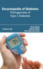 Image for Encyclopedia of Diabetes: Volume 06 (Pathogenesis of Type 1 Diabetes)