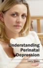 Image for Understanding Perinatal Depression