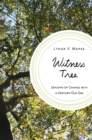 Image for Witness tree  : seasons of change with a century-old oak