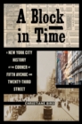 Image for A block in time  : a New York City history at the corner of Fifth Avenue and Twenty-Third street