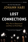 Image for Lost Connections