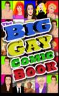 Image for Big Gay Comic Book: : Volume 1 Vol.1 # GN