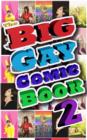 Image for Big Gay Comic Book: Volume 2 Vol.1 # GN