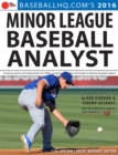 Image for 2016 minor league baseball analyst