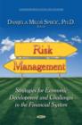 Image for Risk management  : strategies for economic development and challenges in the financial system