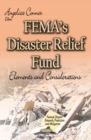 Image for FEMAs Disaster Relief Fund : Elements and Considerations