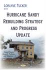 Image for Hurricane Sandy Rebuilding Strategy &amp; Progress Update