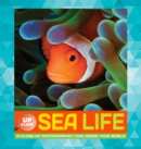 Image for Sea life  : a close-up photographic look inside your world