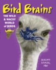 Image for Bird brains  : the wild &amp; wacky world of birds