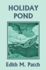 Image for Holiday Pond (Yesterday&#39;s Classics)