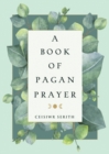 Image for A book of pagan prayer