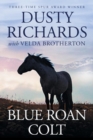 Image for Blue Roan Colt