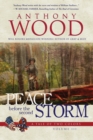 Image for Peace Before the Second Storm : A Story of the Civil War