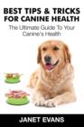 Image for Best Tips &amp; Tricks for Canine Health : The Ultimate Guide to Your Canine&#39;s Health