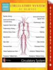 Image for Circulatory System Of Humans Speedy Study Guides