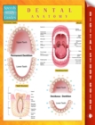 Image for Dental Anatomy Speedy Study Guides