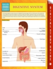Image for Digestive System Speedy Study Guides