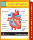Image for Heart (Advanced) Speedy Study Guides