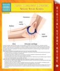 Image for Joints &amp; Ligaments (Advanced) Speedy Study Guides
