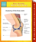 Image for Knee Anatomy Speedy Study Guides