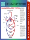 Image for Circulatory System (Speedy Study Guides)