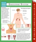 Image for Endocrine System (Speedy Study Guides)
