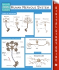 Image for Human Nervous System (Speedy Study Guides)