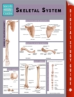 Image for Skeletal System (Speedy Study Guides)