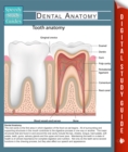 Image for Dental Anatomy (Speedy Study Guide)