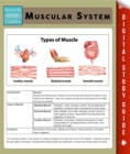 Image for Muscular System (Speedy Study Guide)