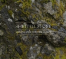 Image for Spirited Stone : Lessons from Kubota&#39;s Garden