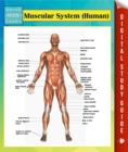 Image for Muscular System (Human) Speedy Study Guides
