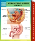 Image for Reproductive System (Human) Speedy Study Guides
