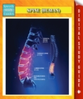 Image for Spine (Human) Speedy Study Guides