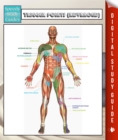Image for Trigger Points (Advanced) Speedy Study Guides